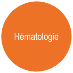 hématologie